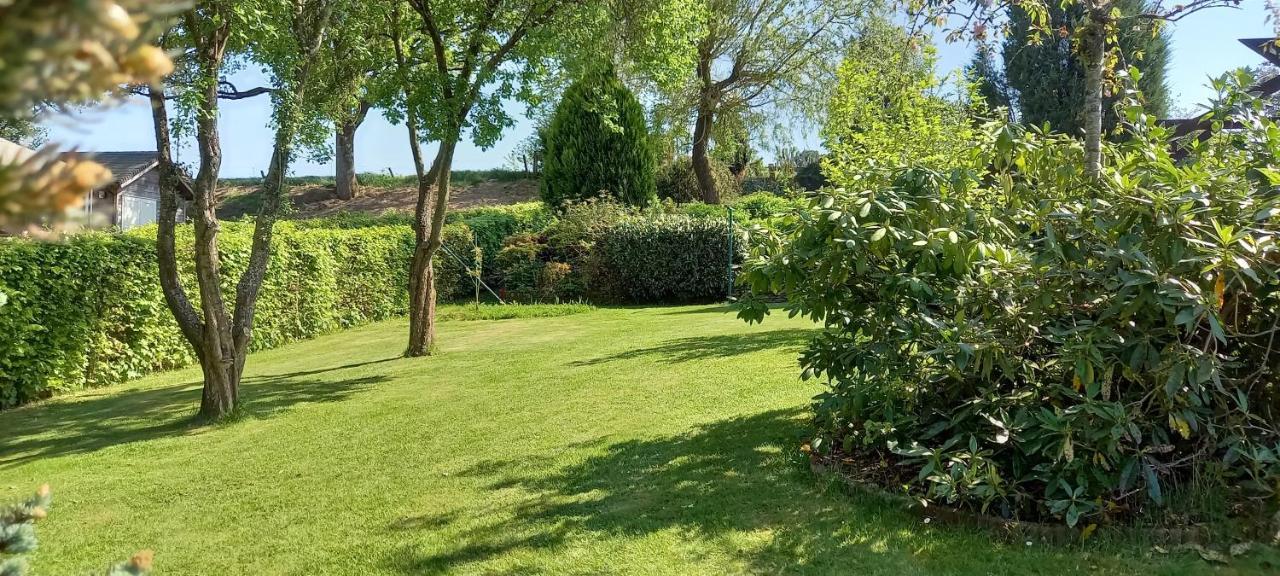 Gite Les Sittelles Tenneville Esterno foto